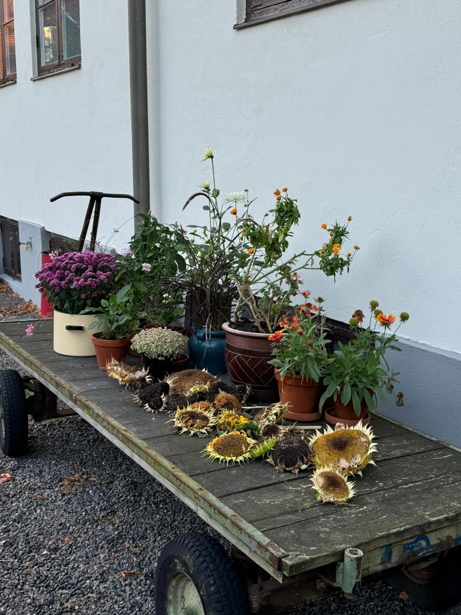 Stf Landskrona Hostel Ngoại thất bức ảnh